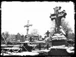 Vie / Darx Der Sturm / Mort